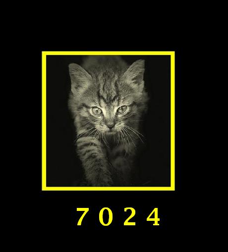 732.DAX Tipp-Spiel, Mittwoch, 27.02.08 150883