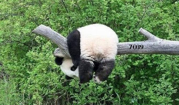 1.560.DAX Tipp-Spiel, Dienstag, 31.05.11 407599