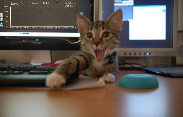 726.DAX Tipp-Spiel, Dienstag, 19.02.08 149035