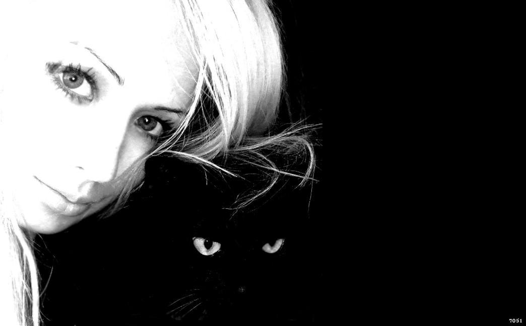 728.DAX Tipp-Spiel, Donnerstag, 21.02.08, 17.45 Uh 149533