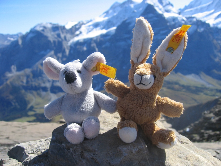 784.DAX Tipp-Spiel, Mittwoch, 14.05.08 163550