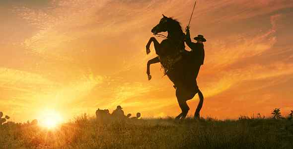 795.DAX Tipp-Spiel, Donnerstag, 29.05.08, 17:45 165866