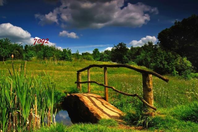 786.DAX Tipp-Spiel, Freitag, 16.05.08, 17:45 Uhr 163816