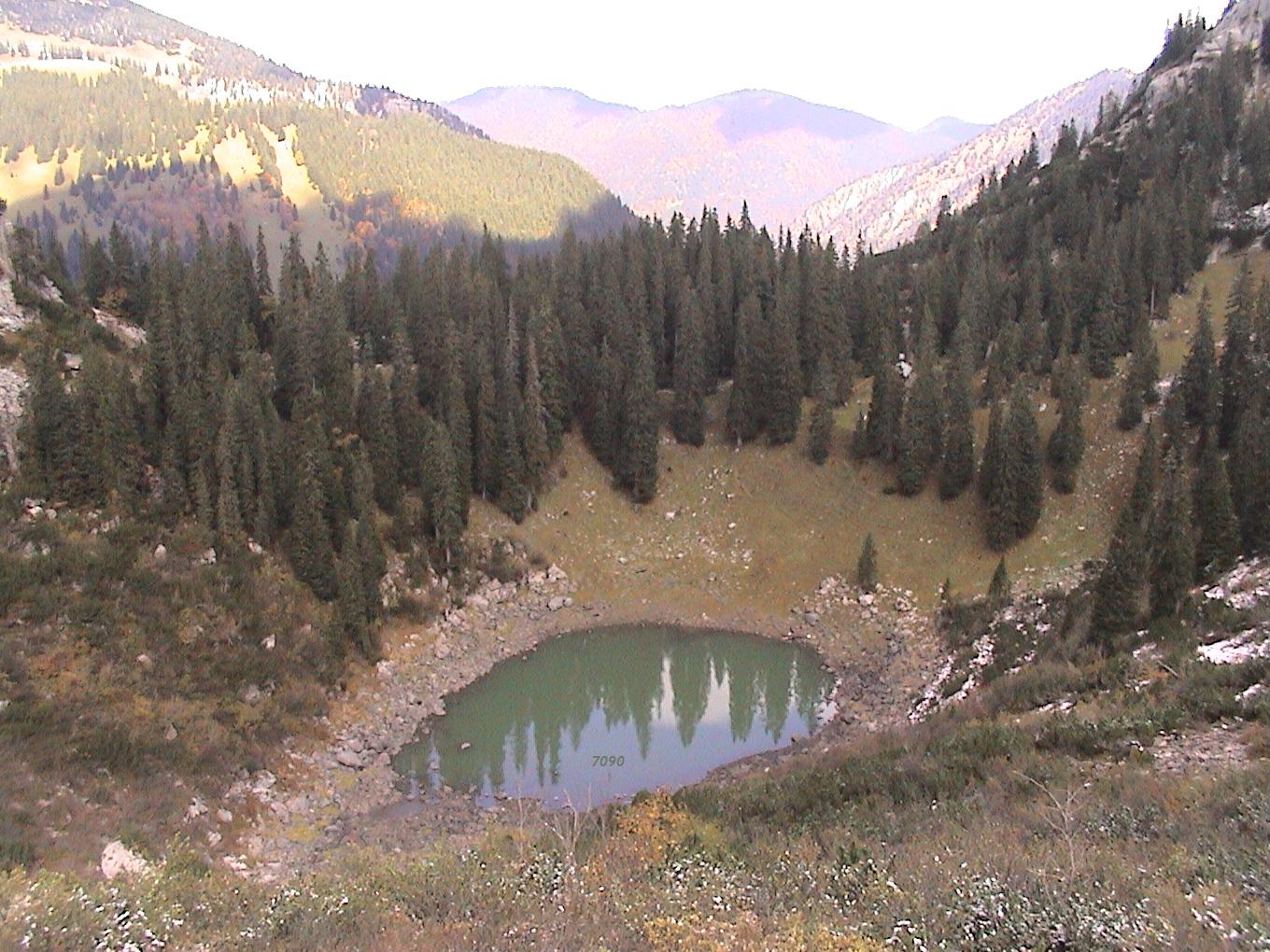 795.DAX Tipp-Spiel, Donnerstag, 29.05.08, 17:45 165791