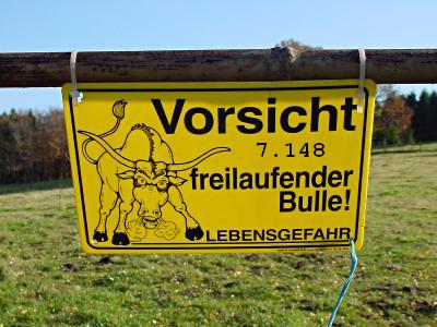 779.DAX Tipp-Spiel, Mittwoch, 07.05.08 162663