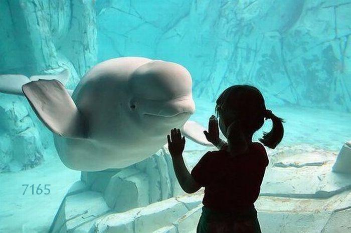 1.593.DAX Tipp-Spiel, Freitag, 15.07.2011 420666