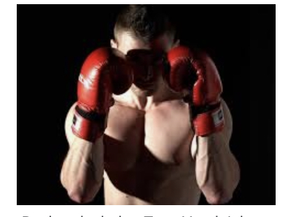 sunwin wird laufen 1236754