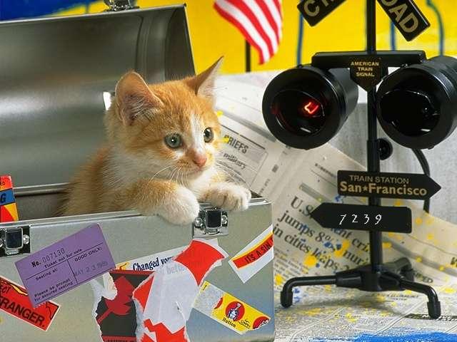 515.DAX Tipp-Spiel, Donnerstag, 19.04.07 93351