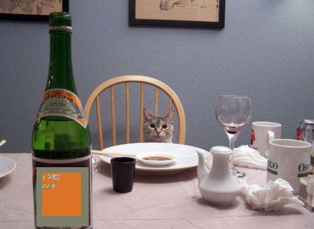 519.DAX Tipp-Spiel, Mittwoch, 25.04.07 94473