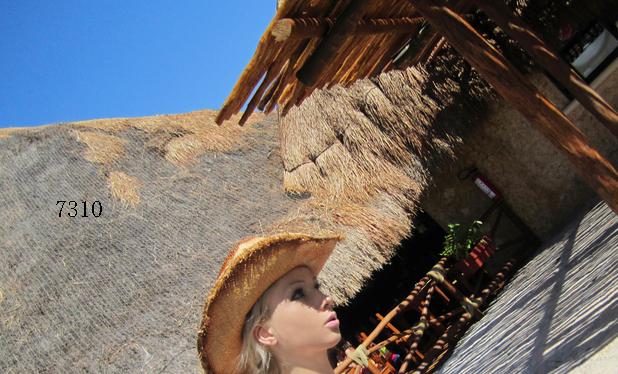 1.486.DAX Tipp-Spiel, Montag, 14.02.11 380596