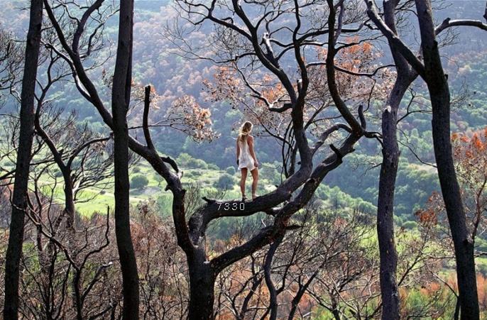 1.485.DAX Tipp-Spiel, Freitag, 11.02.11 379799