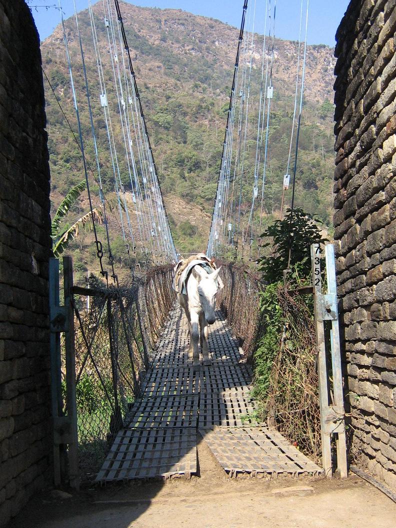 703.DAX Tipp-Spiel, Donnerstag, 17.01.08 142426