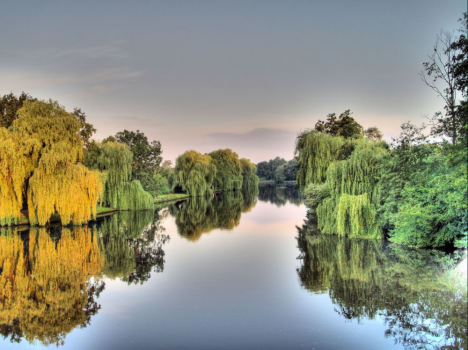 861.DAX Tipp-Spiel, Freitag 29.08.08, 17.45 Uhr 183061