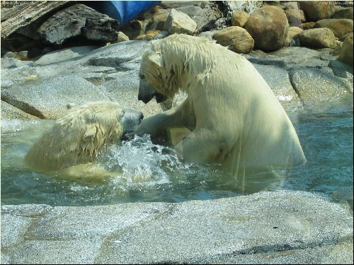 601.DAX Tipp-Spiel, Dienstag, 21.08.07 115941