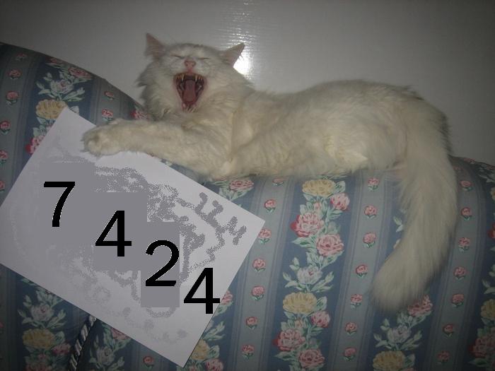 530.DAX Tipp-Spiel, Freitag, 11.05.07 97432