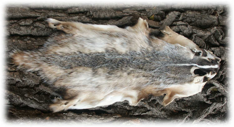 745.DAX Tipp-Spiel, Montag, 17.03.08 154801