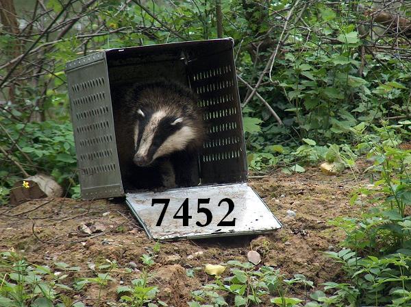 1.544.DAX Tipp-Spiel, Montag , 09.05.11 400785