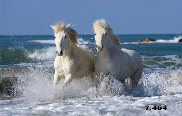 704.DAX Tipp-Spiel, Freitag, 18.01.08 142572