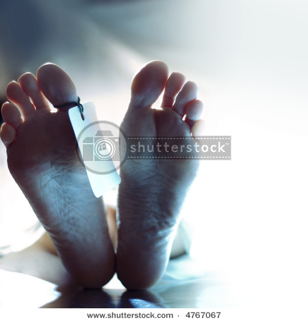 SOLARBROOK WATER DL-01WKN:A0NAS3 SurvivalThread 178133