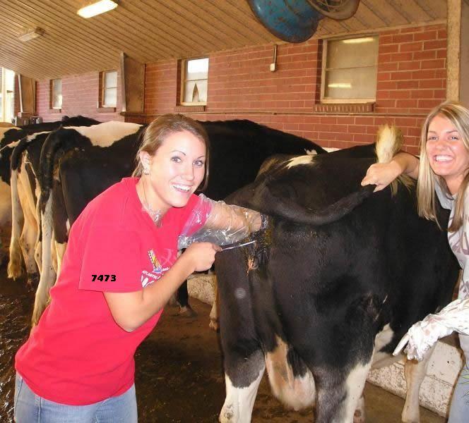 702.DAX Tipp-Spiel, Mittwoch, 16.01.08 142074