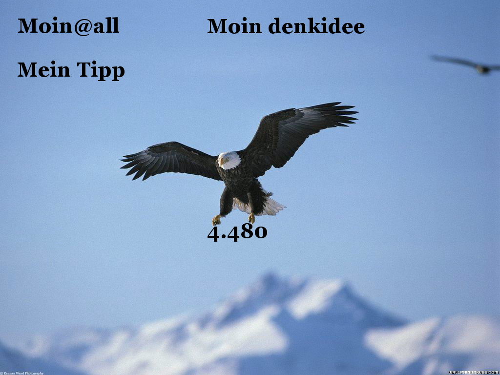 955.DAX Tipp-Spiel, Do, 15.01.09, 17.45 Uhr 210485