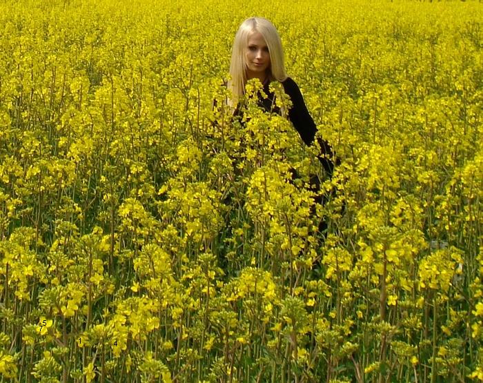 671.DAX Tipp-Spiel, Dienstag, 27.11.07, 17.45 Uhr, 133156