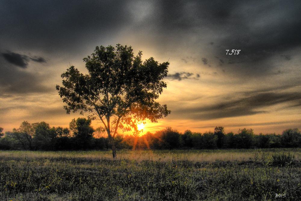 1.490.DAX Tipp-Spiel, Freitag, 18.02.11 381589