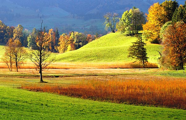 527.DAX Tipp-Spiel, Dienstag, 08.05.07 96827