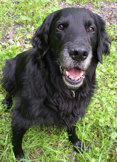 Break Even bei Lycos... 175004