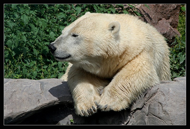 702.DAX Tipp-Spiel, Mittwoch, 16.01.08 142133