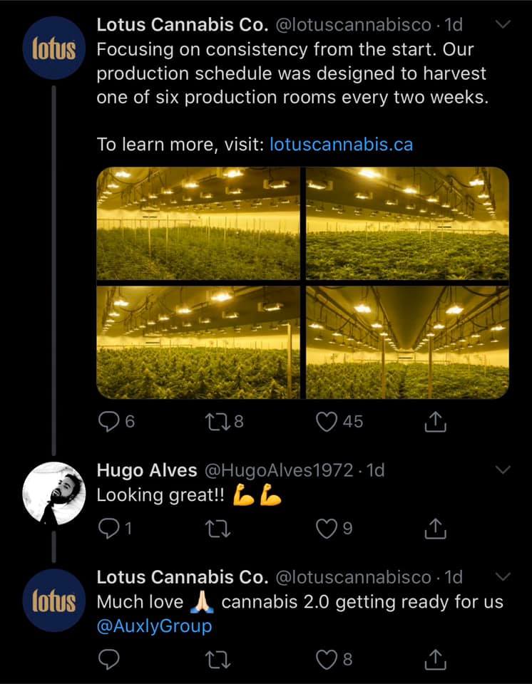 Cannabis ein sicherer mid-bigcap- Hafen? 1143631