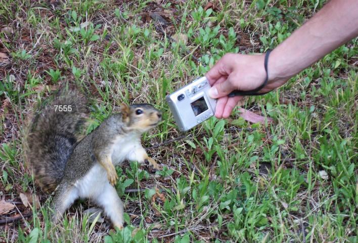 667.DAX Tipp-Spiel, Mittwoch, 21.11.07 132152