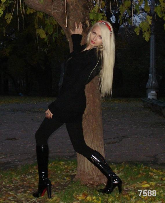 666.DAX Tipp-Spiel, Dienstag, 20.11.07 131982