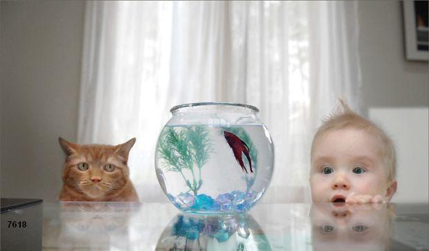 537.DAX Tipp-Spiel, Dienstag, 22.05.07, 17.45 Uhr, 99226