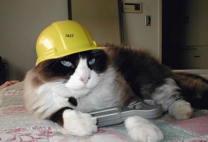 536.DAX Tipp-Spiel, Montag, 21.05.07 99025