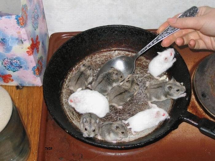 613.DAX Tipp-Spiel, Donnerstag, 06.09.07 118770