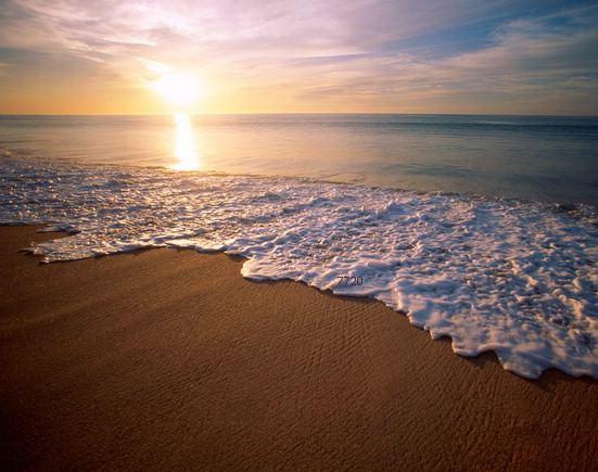 623.DAX Tipp-Spiel, Donnerstag, 20.09.07 121088