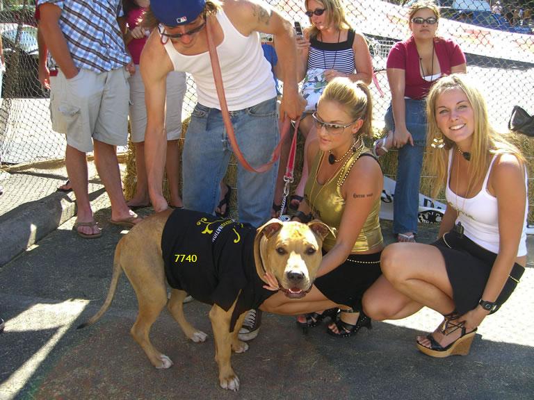 657.DAX Tipp-Spiel, Mittwoch, 07.11.07 129956