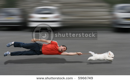 Hat Qimonda ein Chance wieder aufzustehen? 222235