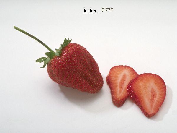 541.DAX Tipp-Spiel, Dienstag, 29.05.07, 17.45 Uhr, 100448