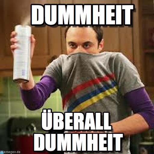 Wirecard AG: Mobile Payment und Risikomanagement 1160260