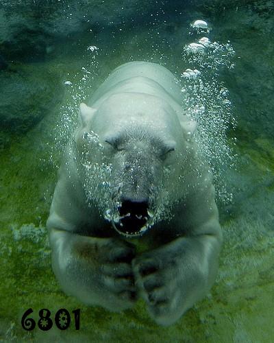 708.DAX Tipp-Spiel, Donnerstag, 24.01.08 143865