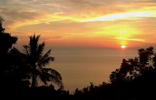 698.DAX Tipp-Spiel, Donnerstag, 10.01.08 141049