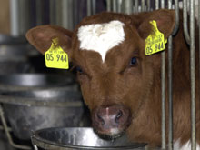 forsys neue Kursrakete ? 89375