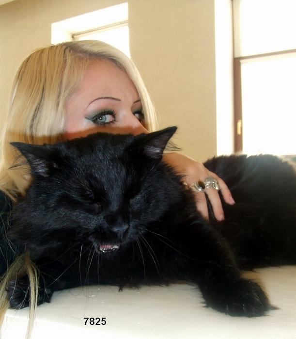 657.DAX Tipp-Spiel, Mittwoch, 07.11.07 129826