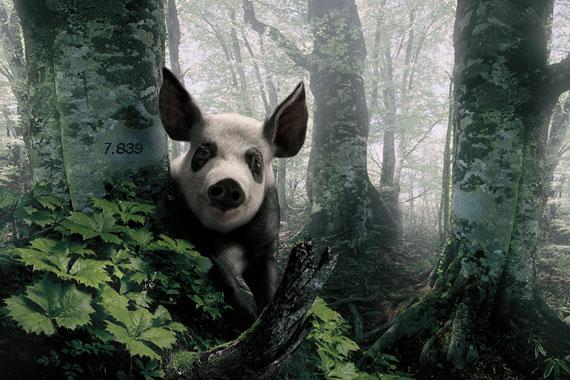 674.DAX Tipp-Spiel, Freitag, 30.11.07 133965