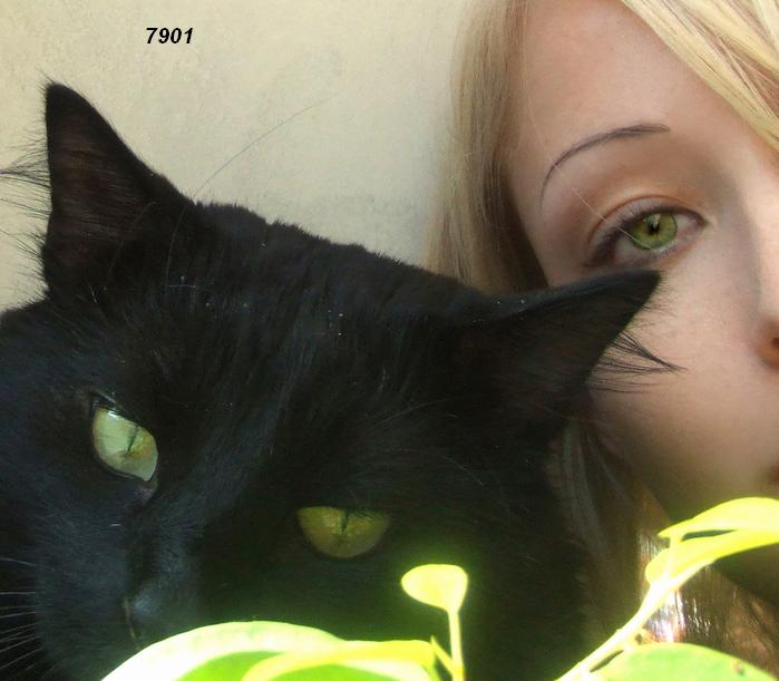 545.DAX Tipp-Spiel, Montag, 04.06.07 101399