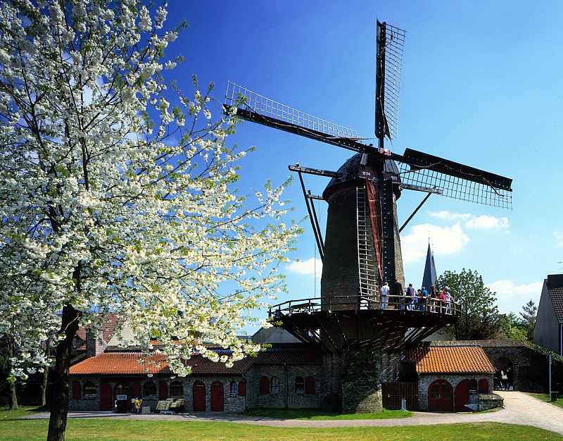 653.DAX Tipp-Spiel, Donnerstag, 01.11.07 129024