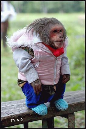 683.DAX Tipp-Spiel, Donnerstag, 13.12.07 136449