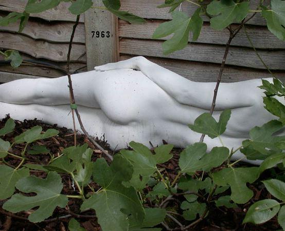 559.DAX Tipp-Spiel, Freitag, 22.06.07 104872